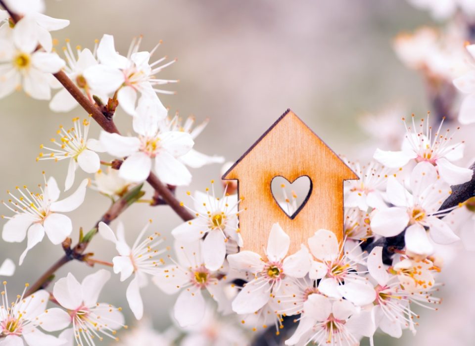 Decoração de primavera: 5 dicas incríveis para aplicar em casa