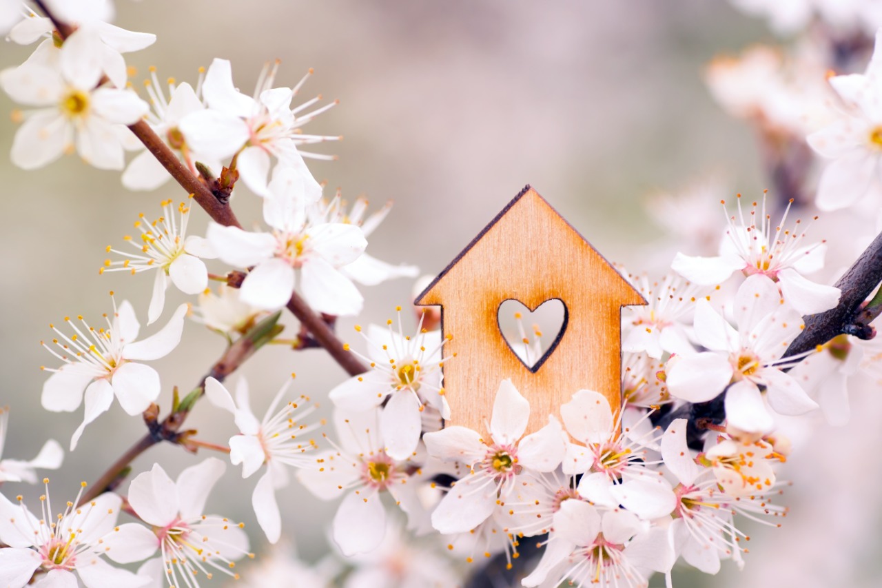 Decoração de primavera: 5 dicas incríveis para aplicar em casa