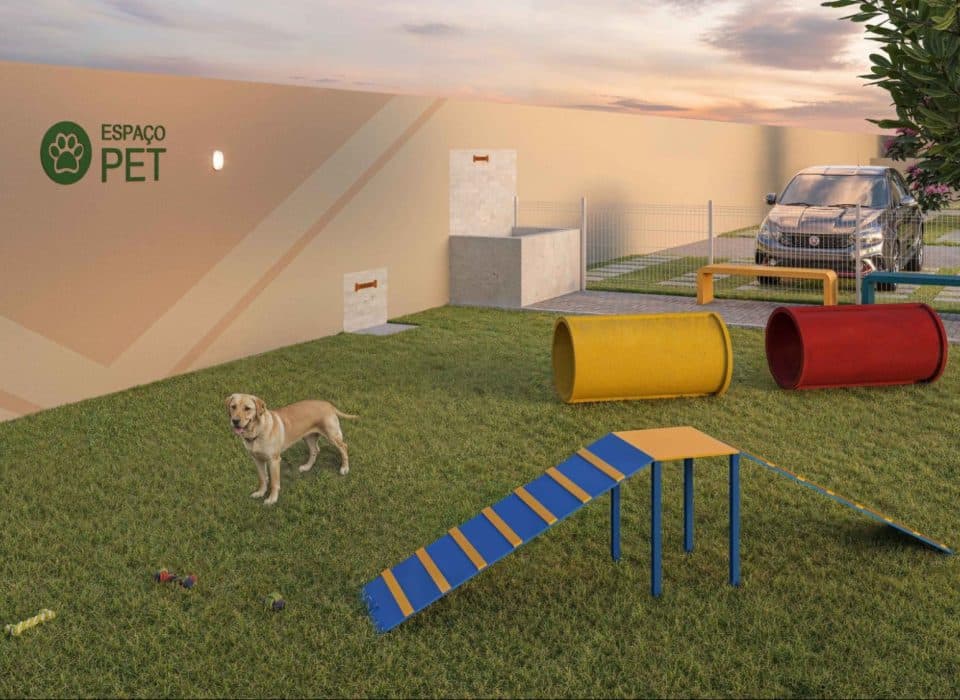 Seu Morar também é deles: dicas de conforto e segurança para pets durante o verão